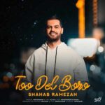 دانلود آهنگ شهاب رمضان به نام تو دل برو دانلود آهنگ شهاب رمضان به نام تو دل برو